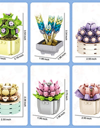 Exercise N Play Brick Minis Succulents Plants Set - 478 Pcs