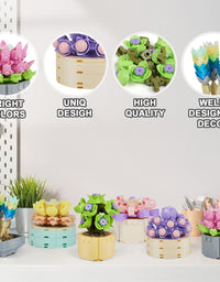 Exercise N Play Brick Minis Succulents Plants Set - 478 Pcs