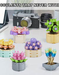 Exercise N Play Brick Minis Succulents Plants Set - 478 Pcs