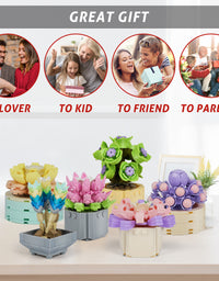 Exercise N Play Brick Minis Succulents Plants Set - 478 Pcs