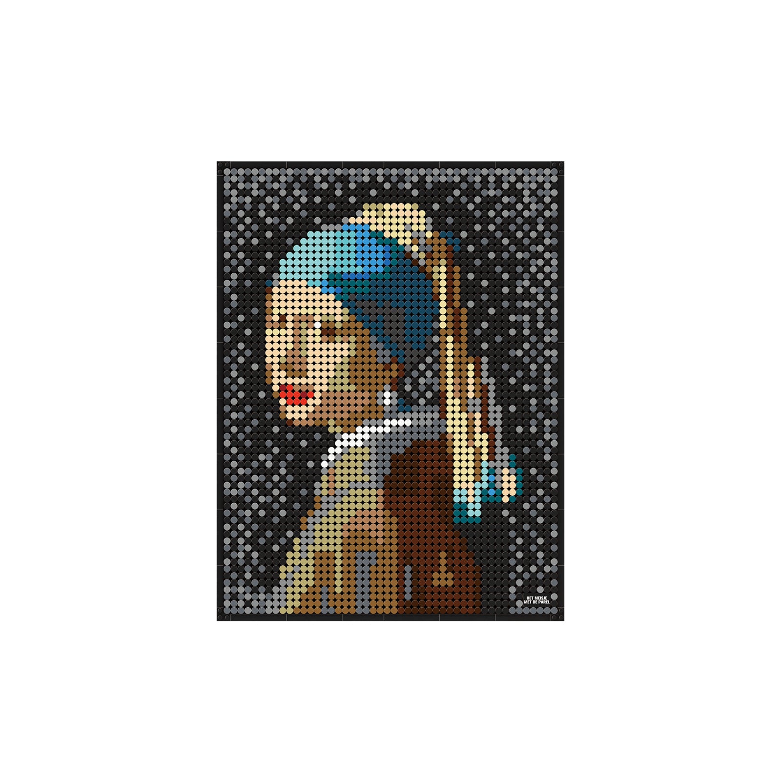 Girl with a Pearl Earring Miniature Pixel Brick Set - 3262Pcs